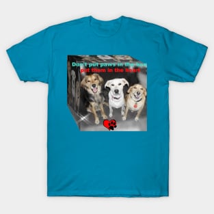 Paws in my heart T-Shirt